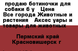 продаю ботиночки для собаки б/у › Цена ­ 600 - Все города Животные и растения » Аксесcуары и товары для животных   . Пермский край,Красновишерск г.